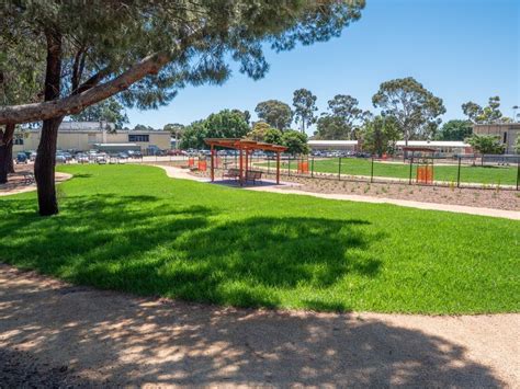 Conyngham Street Dog Park Celebration, 65A Conyngham Street, Glenside ...