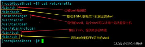 shell编程规范与变量_shell脚本 %y%m%d-CSDN博客