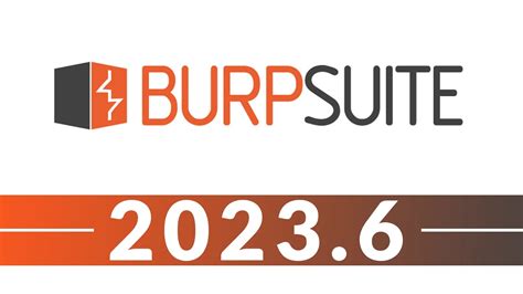 Maximizing Bug Bounty Earnings with Burp Suite: Essential Tools and ...