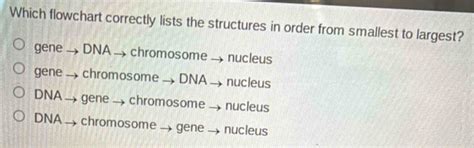 Solved: Which flowchart correctly lists the structures in order from ...