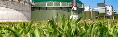 Bioenergy 的图像结果