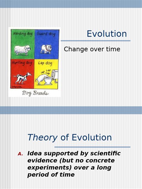 Image result for Evidence Against Evolution