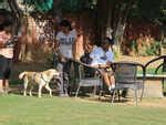 9 Pet-friendly cafes in India