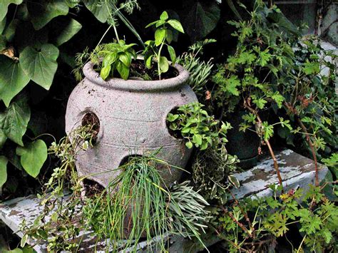 How to Plant Strawberry Pots