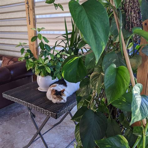 AMORE HOTEL TEKIROVA - Hotel Reviews, Photos, Rate Comparison - Tripadvisor