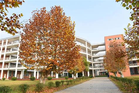 南京师范大学附属中学江宁分校