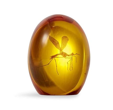 Jurassic Park Mosquito in Amber Resin Prop Replica | Official Jurassic ...