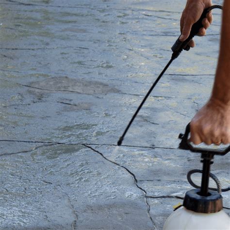 Unlock the Secrets to Safe Concrete Power Washing!
