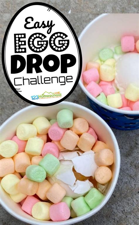 Egg Drop Challenge