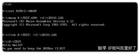 Masm DOSBox 的图像结果