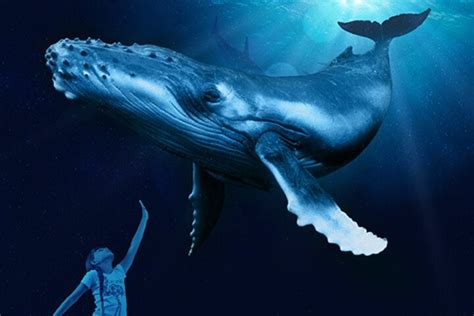 2023 Ticket + 3D Cinema Aquadome provided by Palma Aquarium