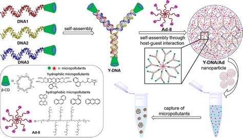 Prof. Reji Varghese - Publications | IISER Thiruvananthapuram, MoE ...