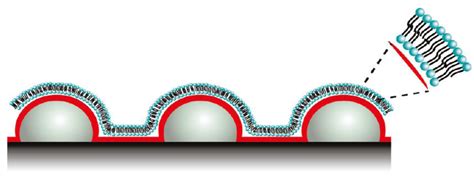 Biomimetic Strategies for Sensing Biological Species