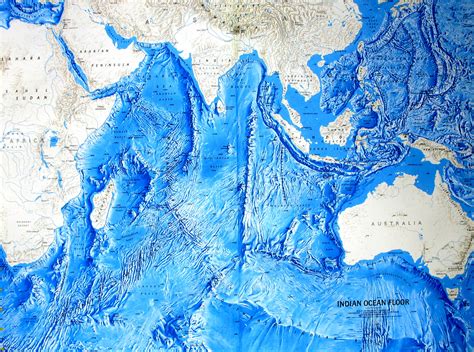 Ocean Relief Map 的图像结果