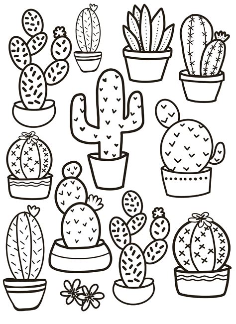Cactus Coloring Pages Simple