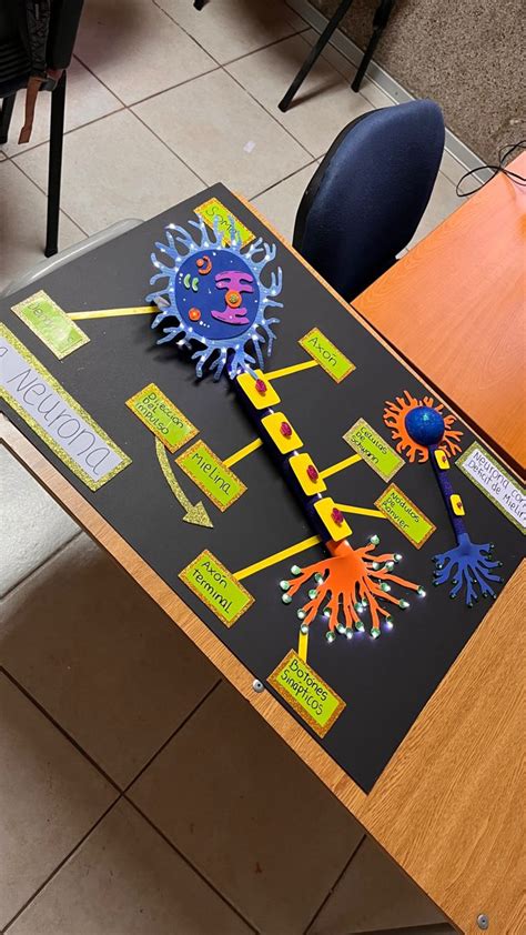 Image result for Neuron Model Project