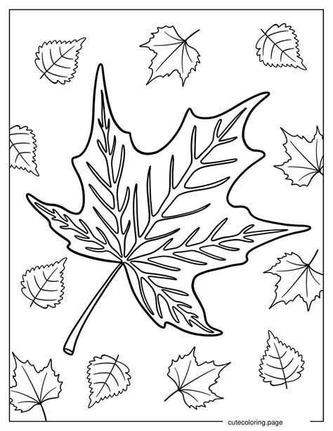 Fall Leaves Coloring Pages(20+ free printable coloring pages) | Cute Coloring Pages | Free ...
