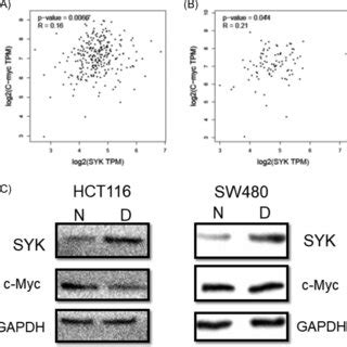 Image result for Exact Diagonalization of Syk Graph