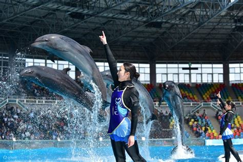 Adventure World 的图像结果