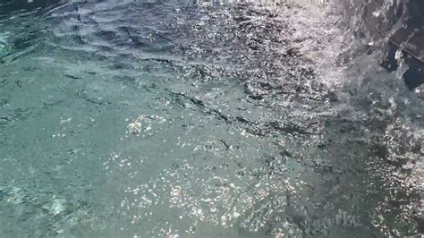 Image result for Water Light Reflection