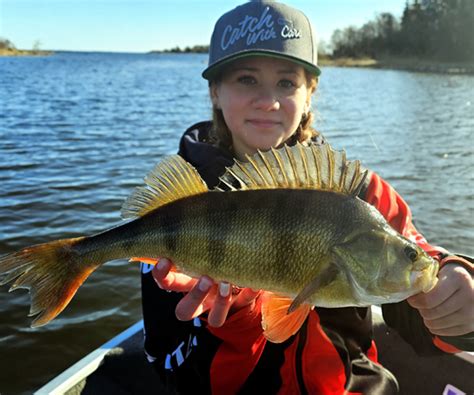 Image result for CWC Teams