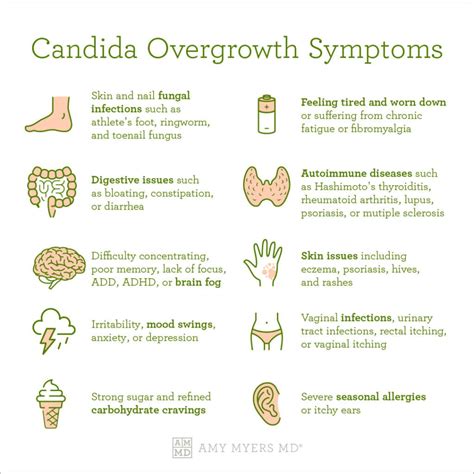Candida Who Guidelines at Terrance Mitchell blog