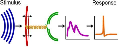 Image result for Processing Sound