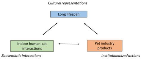 The Cohabitation of Humans and Urban Cats in the Anthropocene: The ...