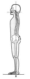 Image result for Shoulder Alignment