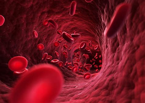 Infezioni del sangue: uno sguardo clinico - Microbiologia Italia