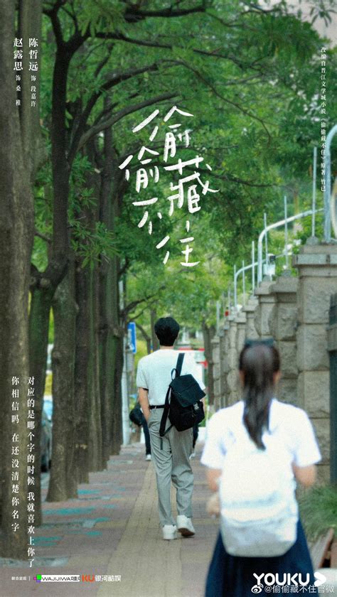 电视剧《偷偷藏不住》首曝海报，赵露思、陈哲远领衔主演_桑稚_段嘉许_哥哥