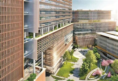 深圳市人民医院龙华分院将变成“绿岛”--各区动态