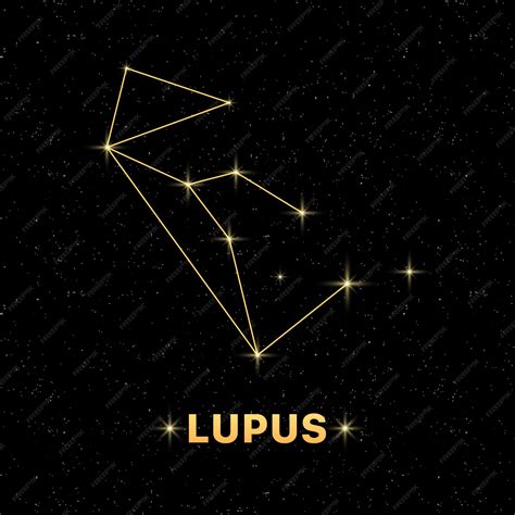 Premium Vector | Lupus constellation banner Constellation icon Flat style