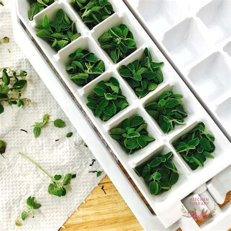 Freezing Fresh Herbs – Kitchen therapy in
