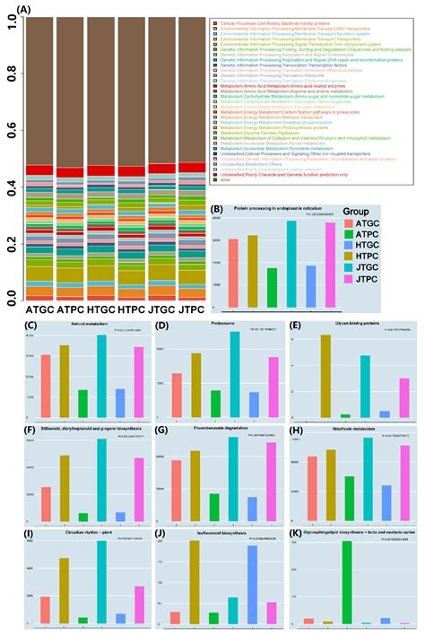 A First Insight into the Structural and Functional Comparison of ...