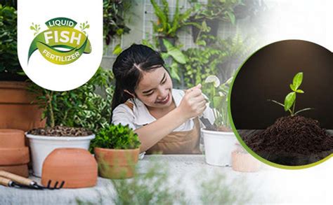 Liquid Fish Fertilizer for Vigorous Plant Growth