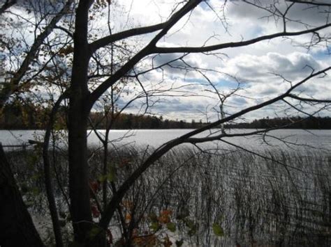 Hackensack Tourism (2023): Best of Hackensack, MN - Tripadvisor