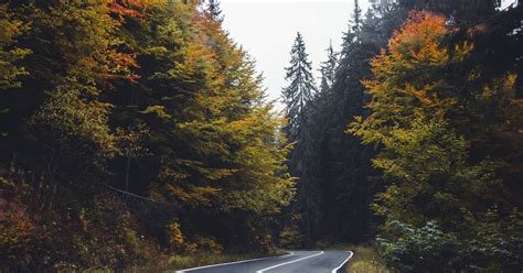 Erhöhte Vorsicht im Herbst: Verhaltenstipps der Polizei für den ...