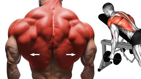 Image result for Large Exploding Back