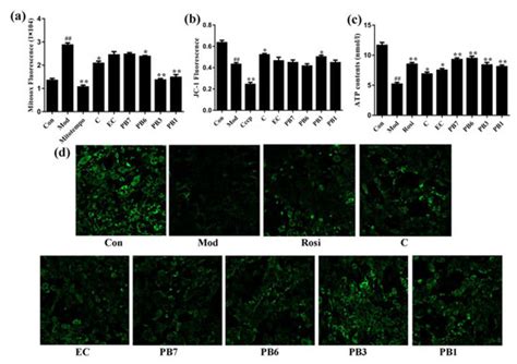 Proanthocyanidins Ameliorated Deficits of Lipid Metabolism in Type 2 ...