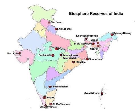 Natural Vegetation Class 11 Geography