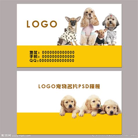 宠物会所名片设计图__名片卡片_广告设计_设计图库_昵图网nipic.com
