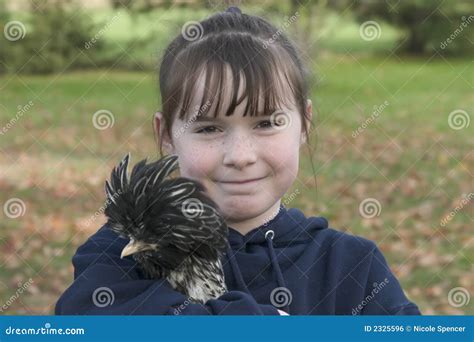 My Pet Chicken stock photo. Image of unique, face, bird - 2325596