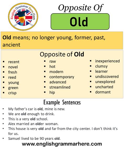 Opposite Of Regret Antonyms Of Regret Meaning And Example Sentences