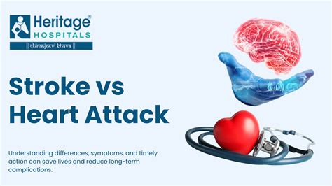 Stroke Vs Heart Attack: What You Must Know To Save Lives