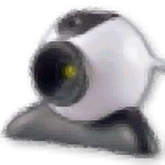 VCam虚拟摄像头_VCam虚拟摄像头软件截图-ZOL软件下载