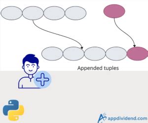 Image result for Python Tuple App End