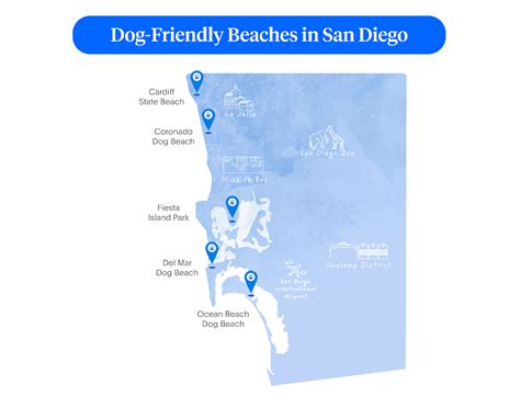 What Beaches Allow Dogs In Southern California