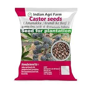 Iagrifarm Castor Seeds - 500 gram - Arandi Ke Beej/Ricinus Communis ...