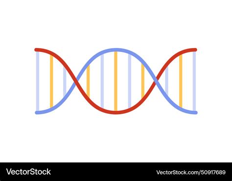 DNA Vector 的图像结果